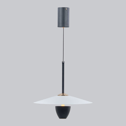 Acrylic pendant light